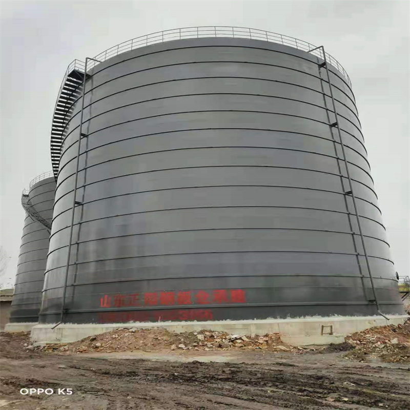 监利3万吨大型钢板库